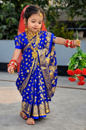 Home bs 01 কাতান রেডি লেহেঙ্গা শাড়ী