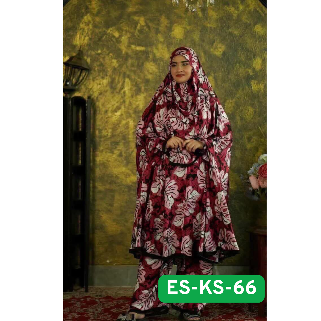 es-ks-66-%e0%a6%aa%e0%a7%8d%e0%a6%b2%e0%a6%be%e0%a6%9c%e0%a7%81-%e0%a6%96%e0%a6%bf%e0%a6%ae%e0%a6%be%e0%a6%b0-%e0%a6%b8%e0%a7%87%e0%a6%9f